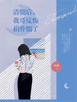 律师归来小说